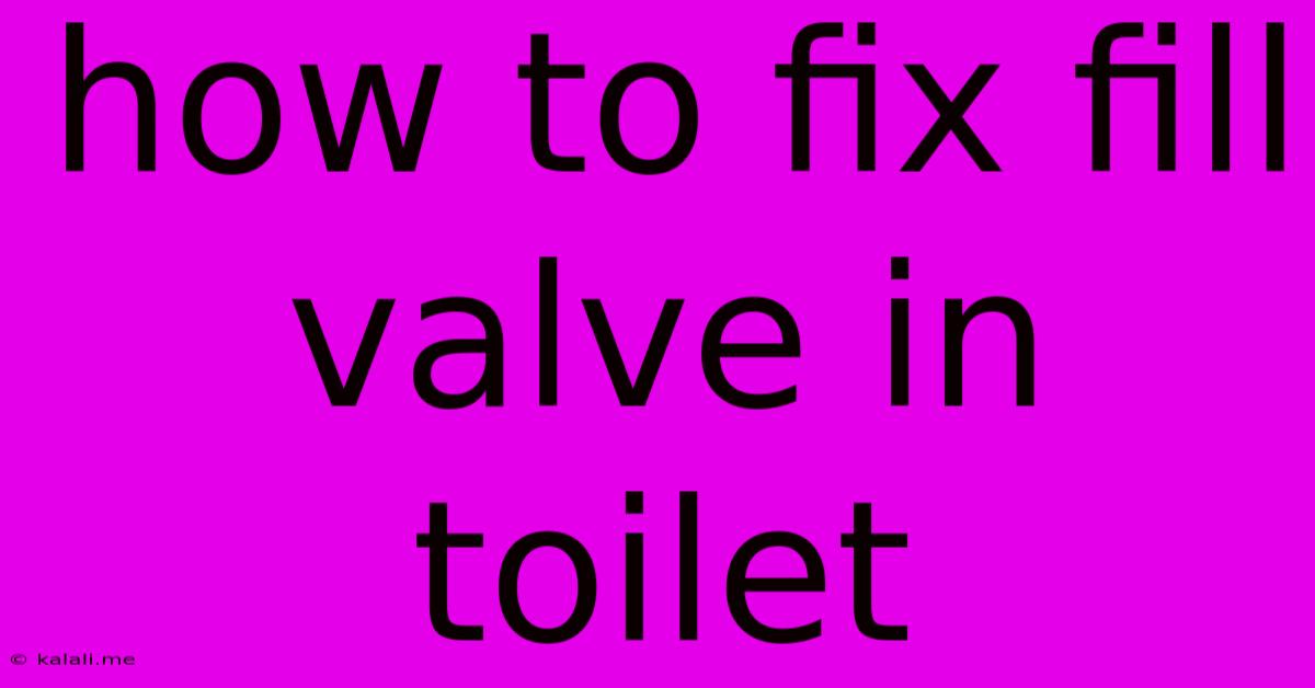 How To Fix Fill Valve In Toilet