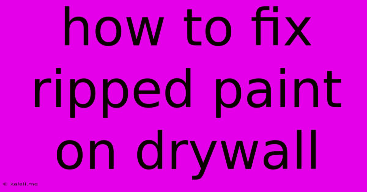 How To Fix Ripped Paint On Drywall