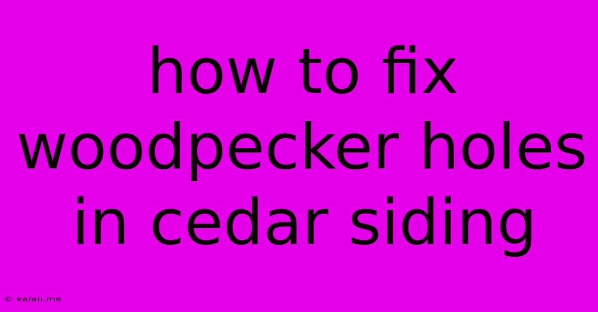 How To Fix Woodpecker Holes In Cedar Siding