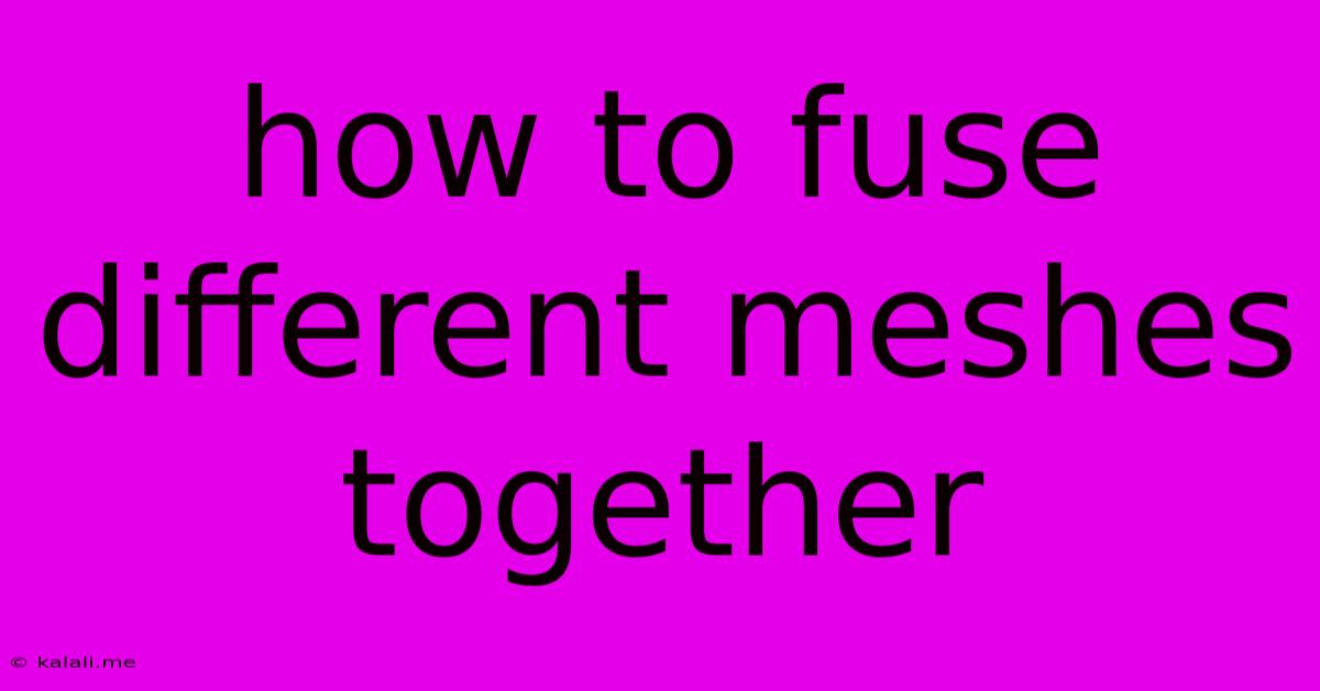 How To Fuse Different Meshes Together