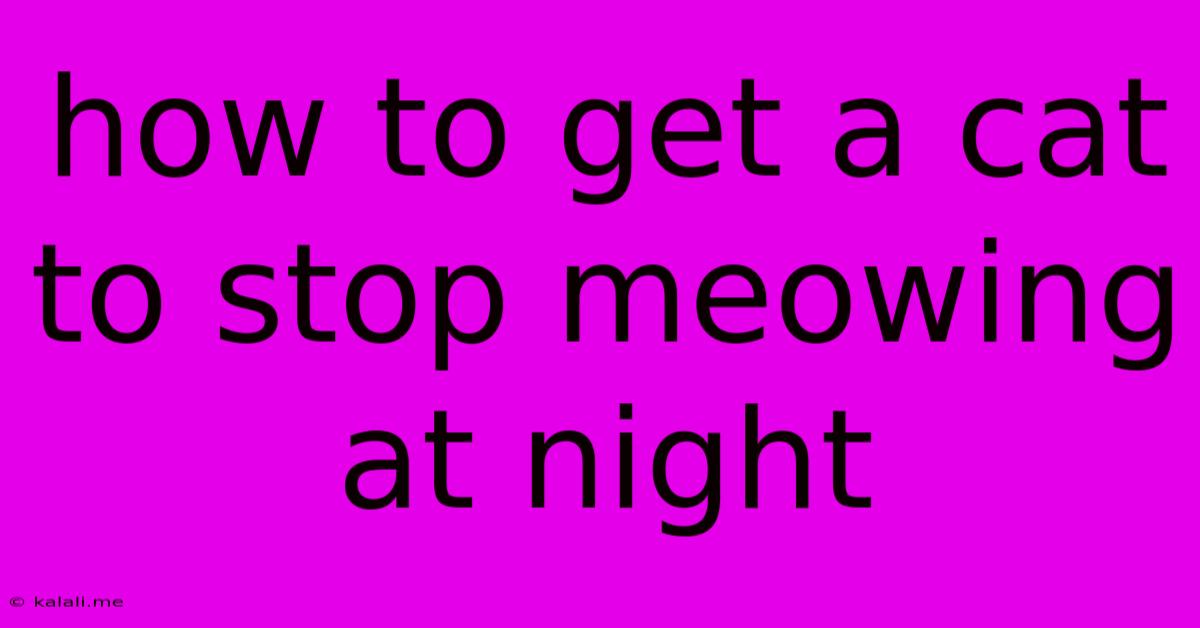 How To Get A Cat To Stop Meowing At Night