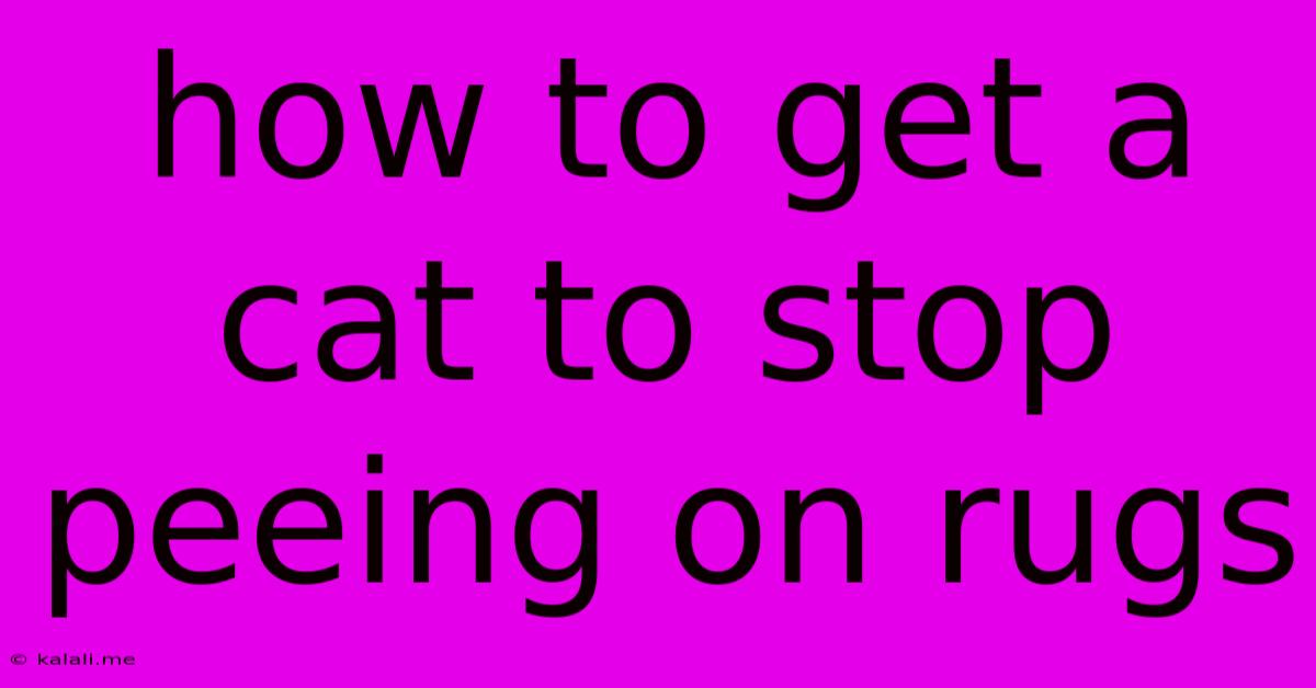 How To Get A Cat To Stop Peeing On Rugs