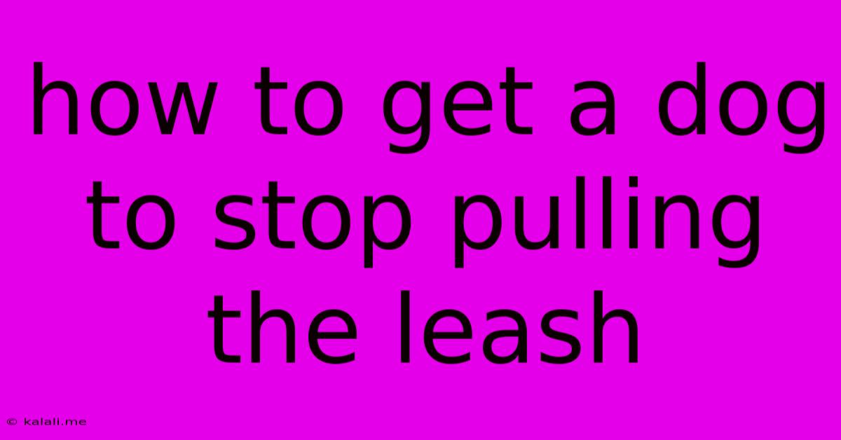 How To Get A Dog To Stop Pulling The Leash