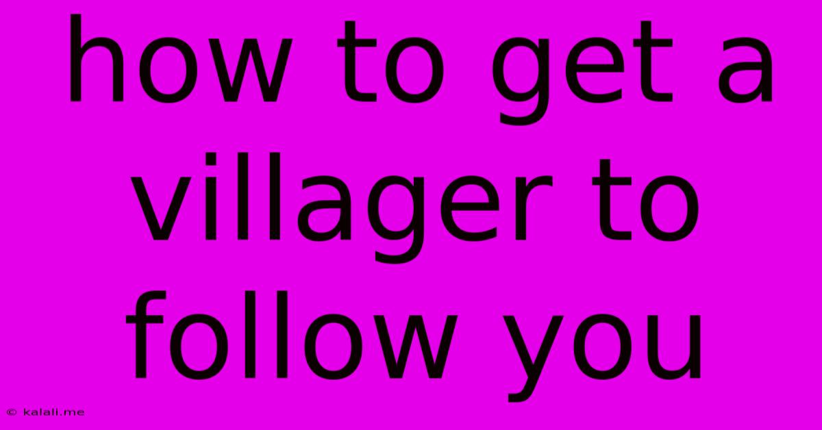How To Get A Villager To Follow You