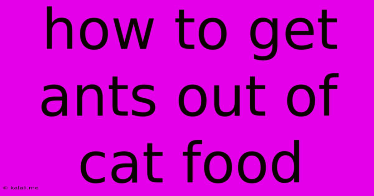 How To Get Ants Out Of Cat Food