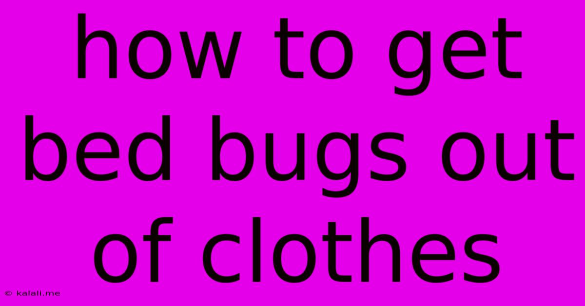 How To Get Bed Bugs Out Of Clothes