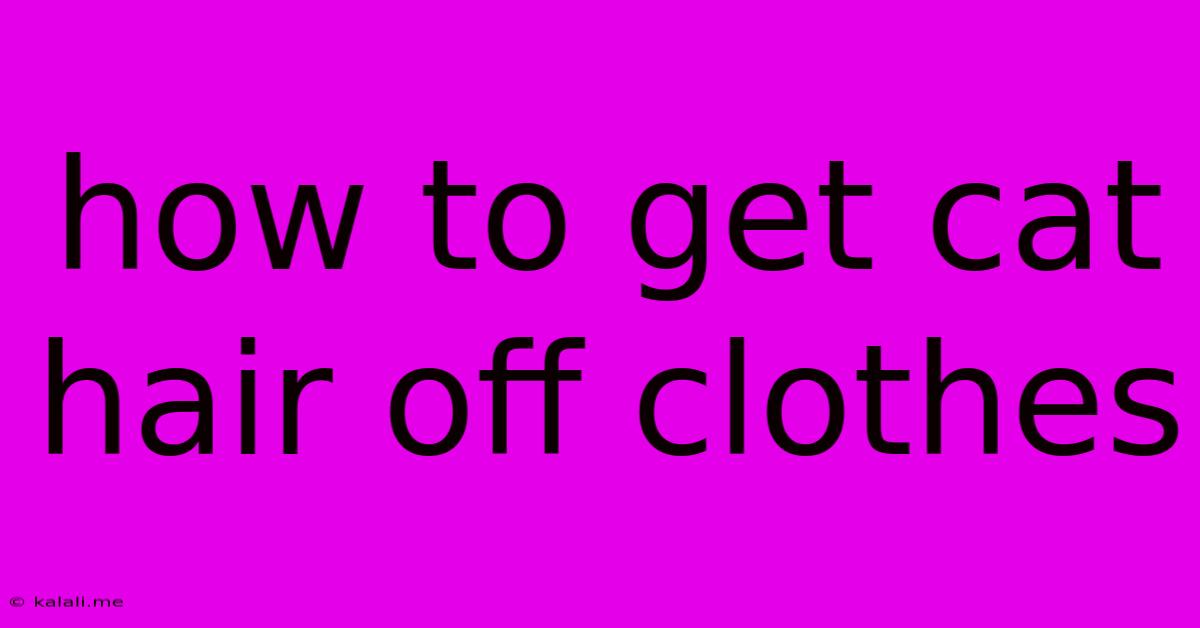 How To Get Cat Hair Off Clothes