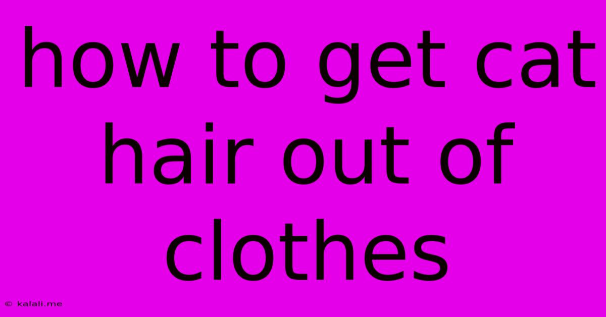 How To Get Cat Hair Out Of Clothes