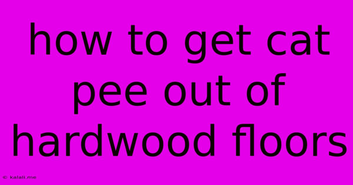 How To Get Cat Pee Out Of Hardwood Floors