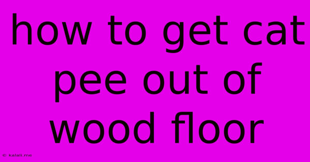 How To Get Cat Pee Out Of Wood Floor