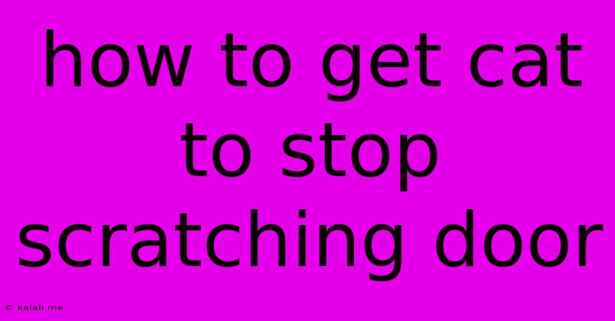 How To Get Cat To Stop Scratching Door