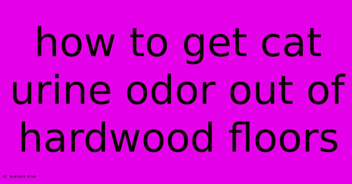 How To Get Cat Urine Odor Out Of Hardwood Floors