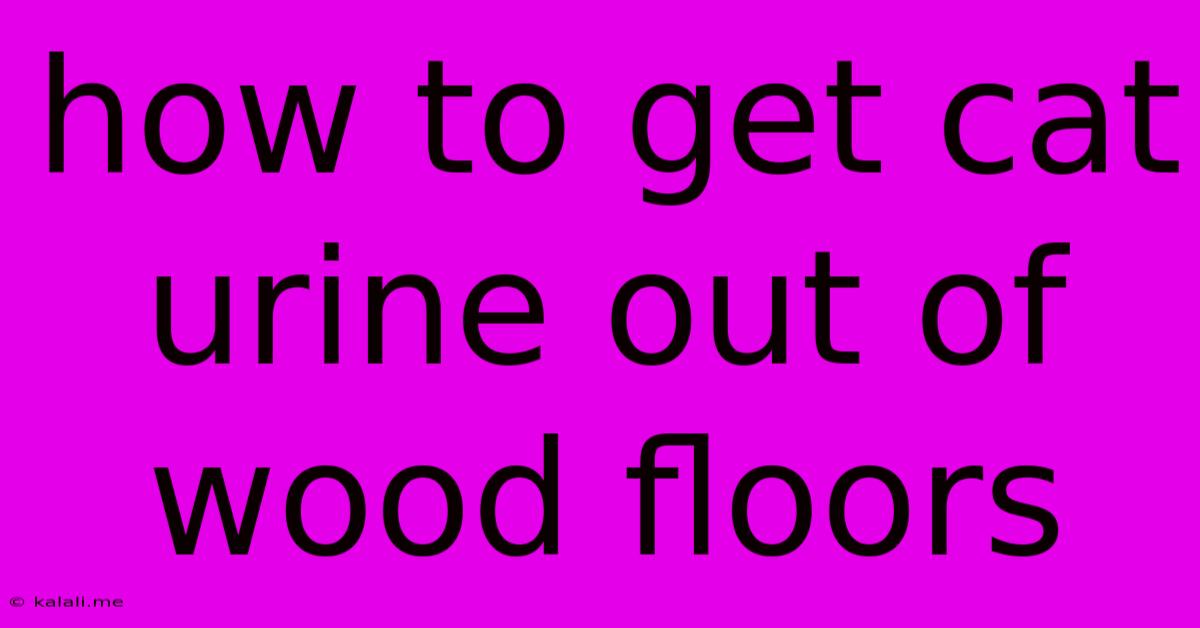 How To Get Cat Urine Out Of Wood Floors