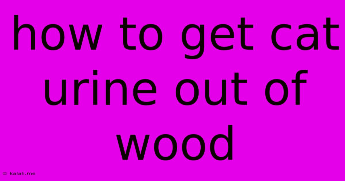 How To Get Cat Urine Out Of Wood