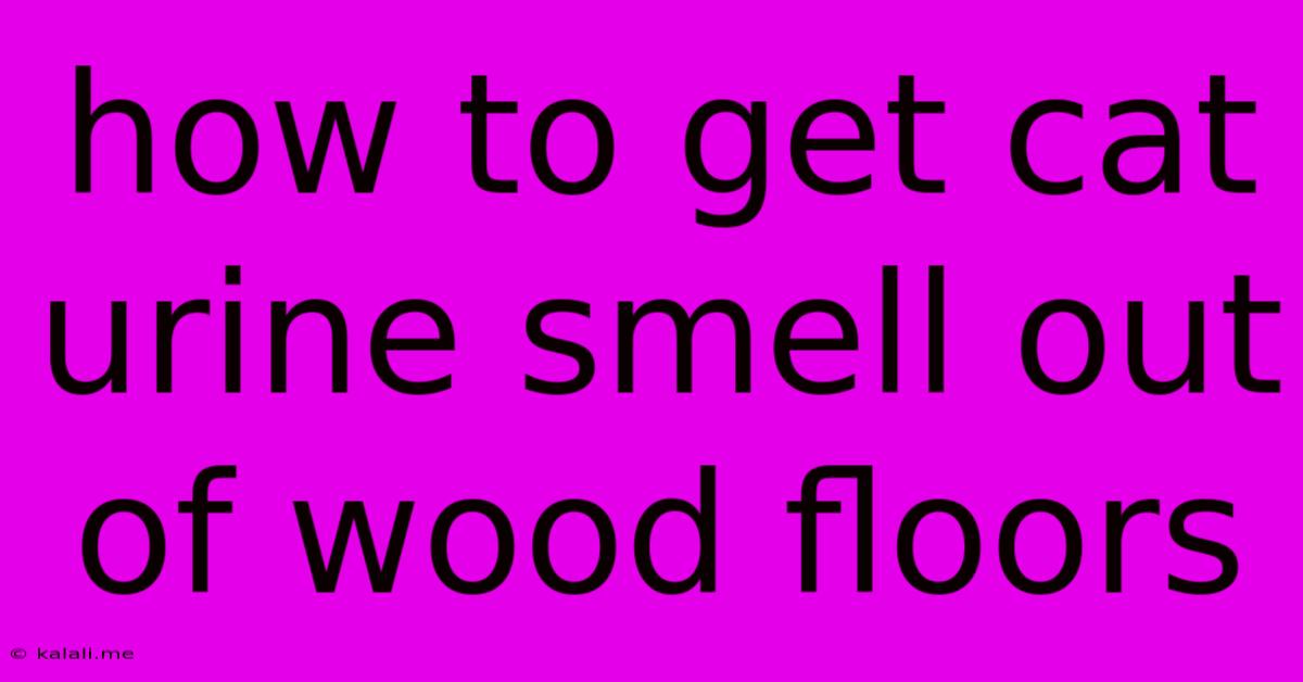 How To Get Cat Urine Smell Out Of Wood Floors