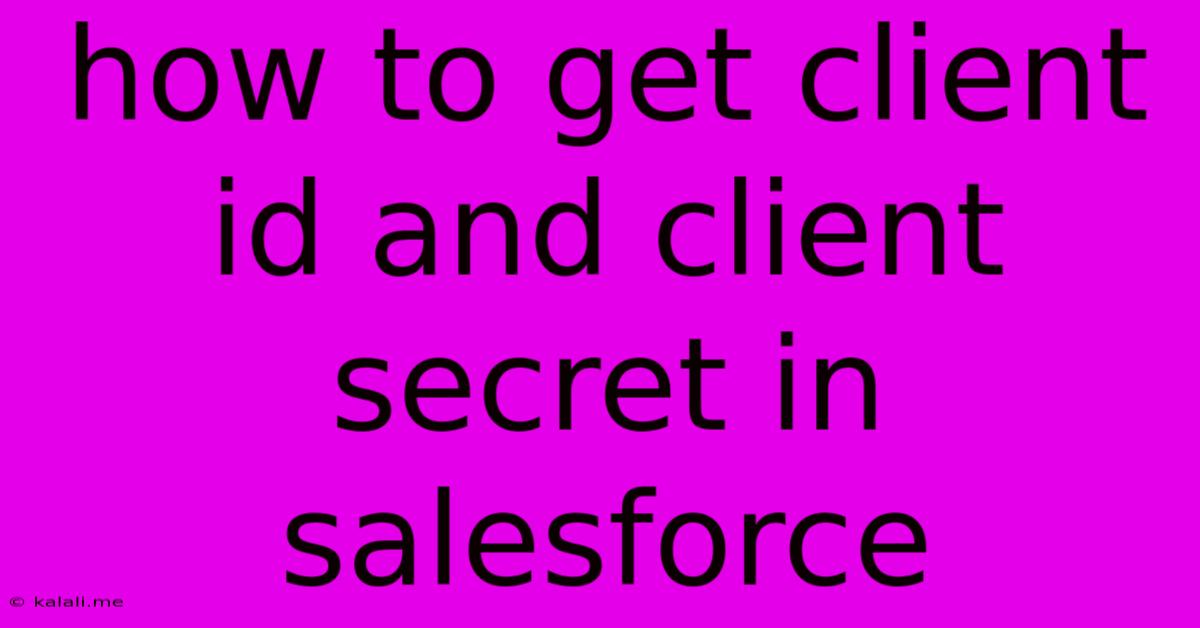 How To Get Client Id And Client Secret In Salesforce