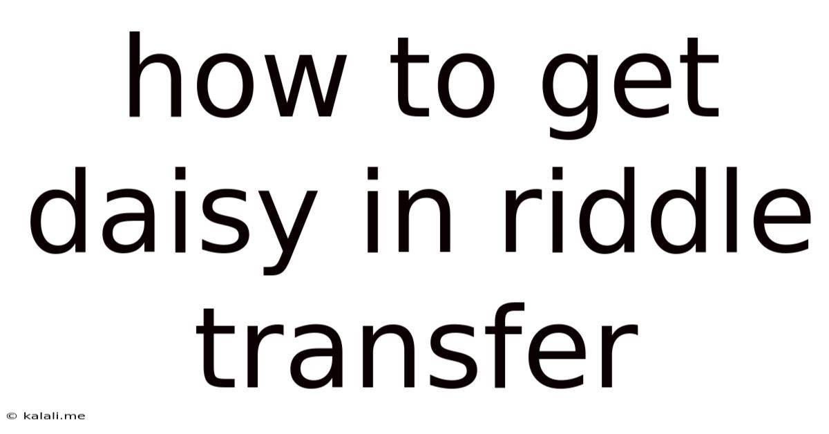 How To Get Daisy In Riddle Transfer