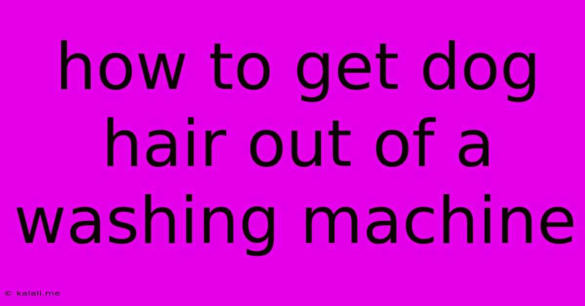 How To Get Dog Hair Out Of A Washing Machine