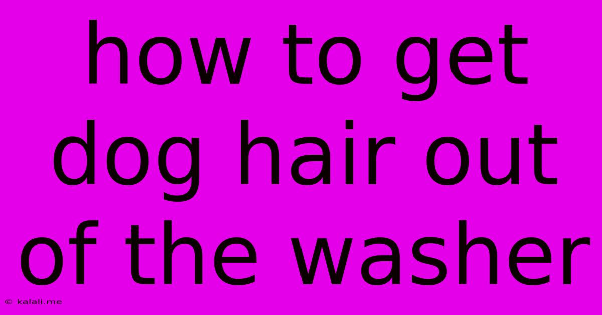 How To Get Dog Hair Out Of The Washer