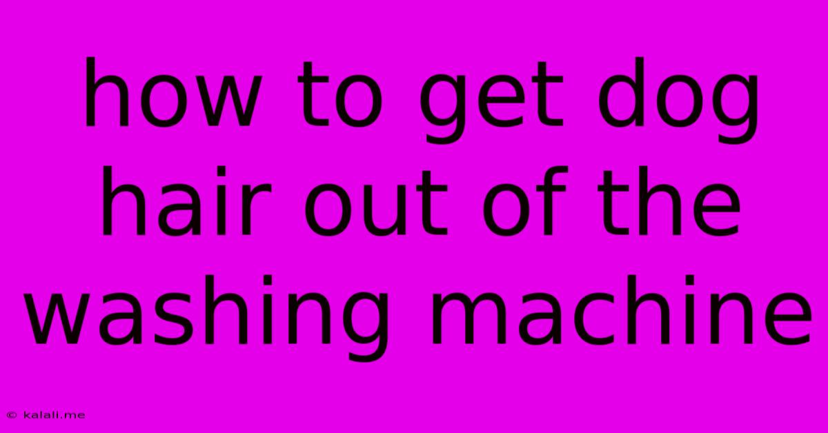 How To Get Dog Hair Out Of The Washing Machine