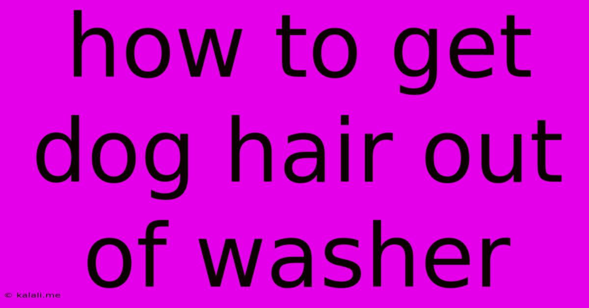 How To Get Dog Hair Out Of Washer