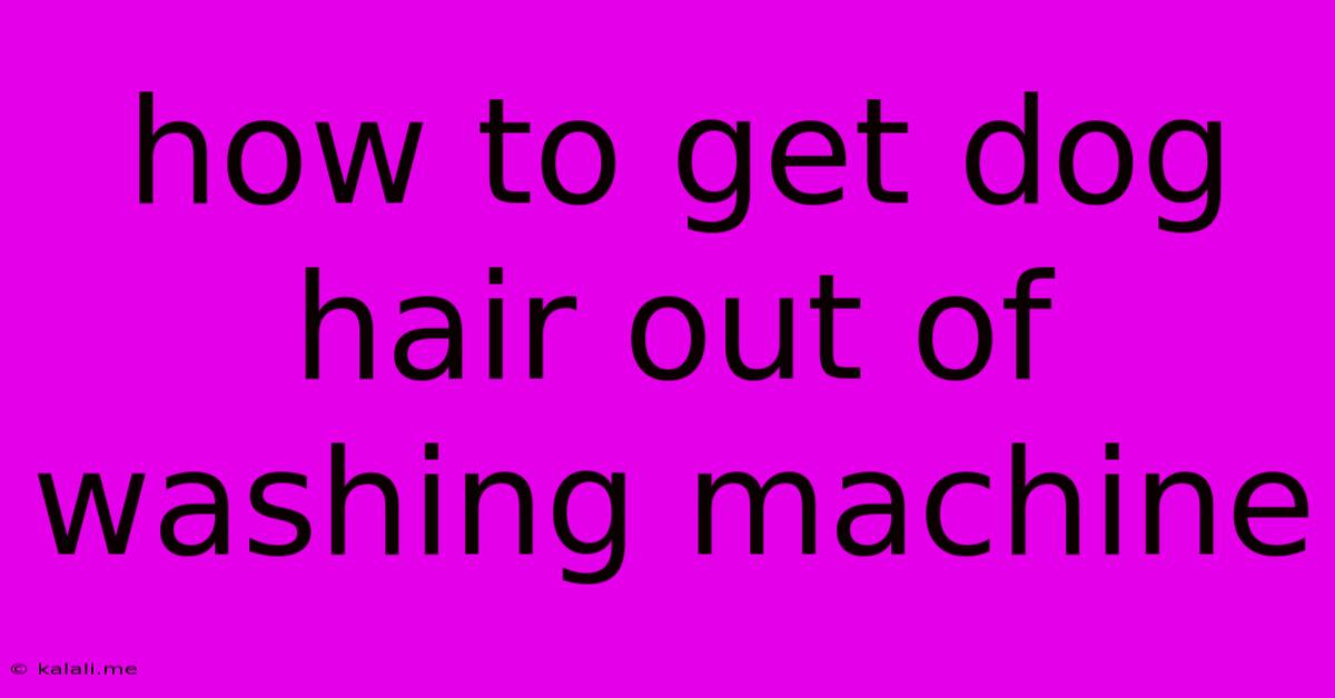 How To Get Dog Hair Out Of Washing Machine