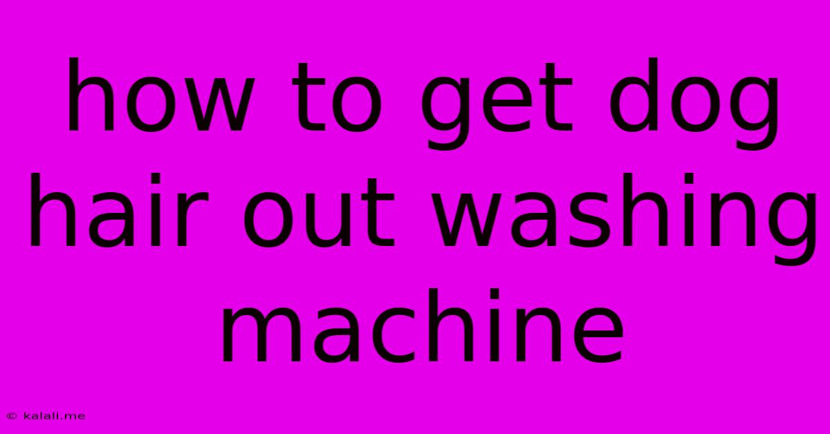 How To Get Dog Hair Out Washing Machine