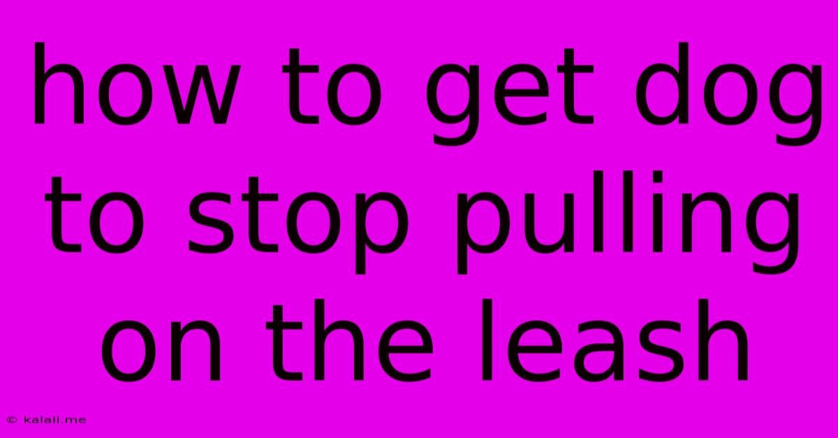 How To Get Dog To Stop Pulling On The Leash
