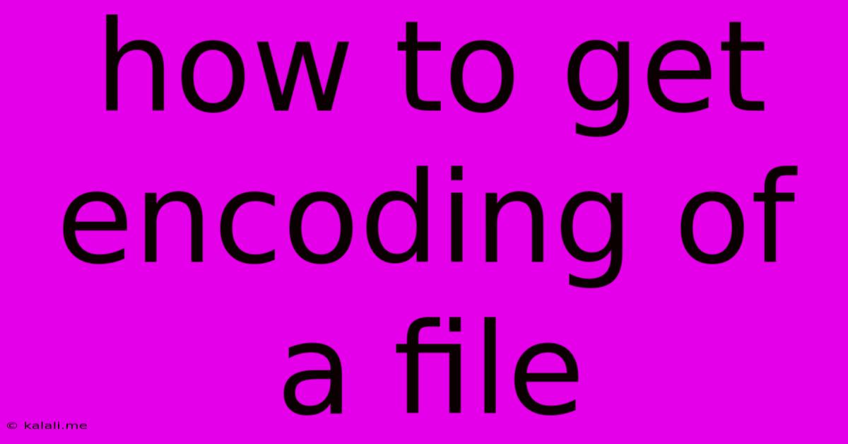 How To Get Encoding Of A File