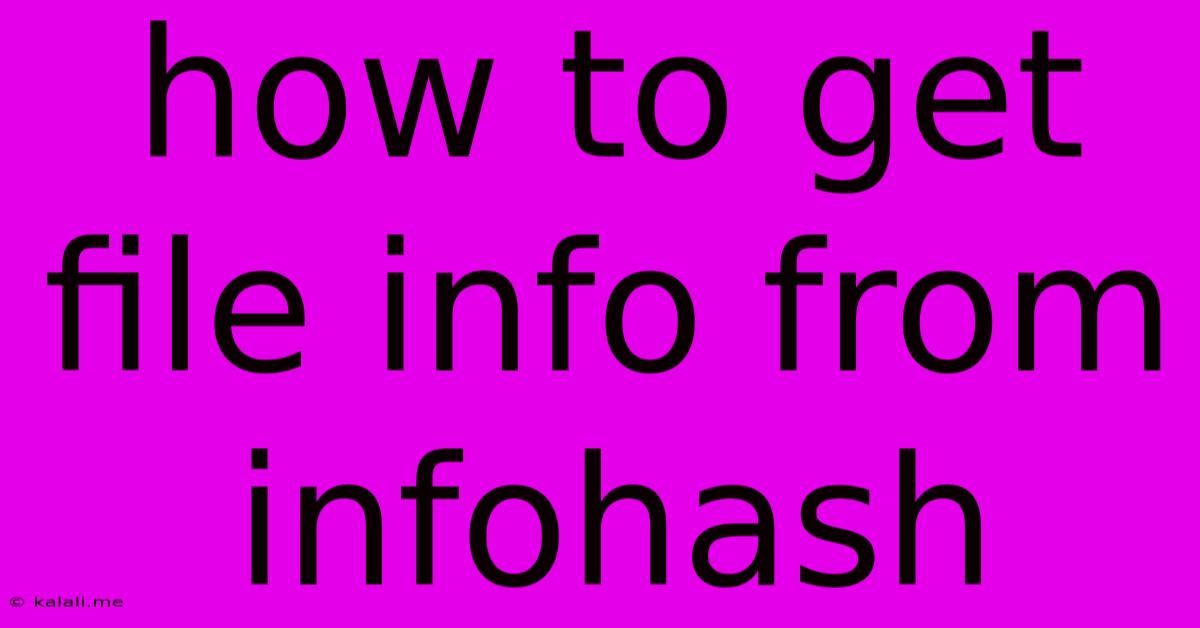 How To Get File Info From Infohash
