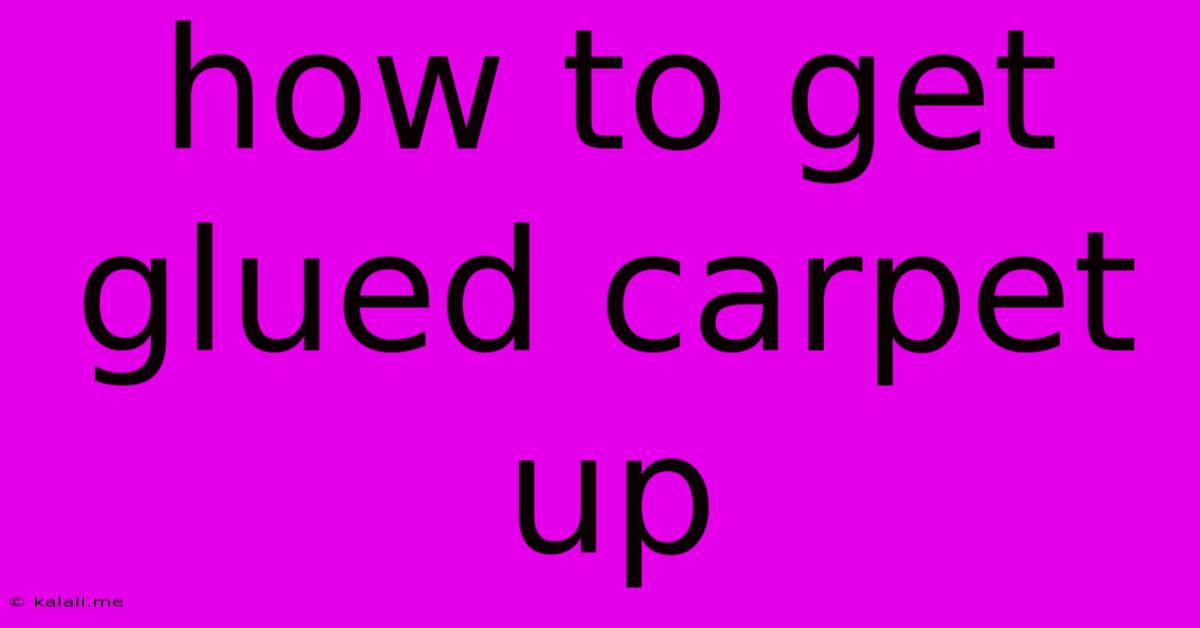 How To Get Glued Carpet Up