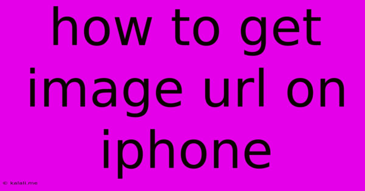 How To Get Image Url On Iphone