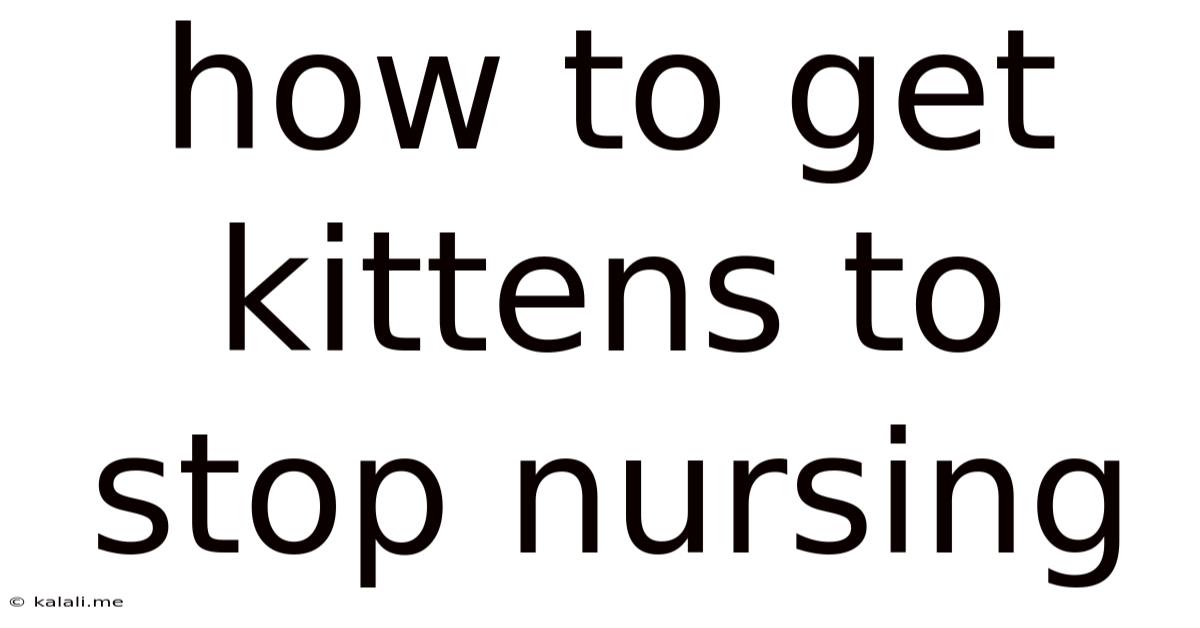 How To Get Kittens To Stop Nursing
