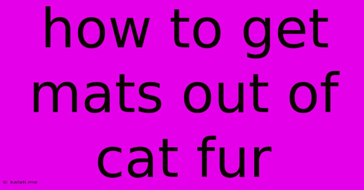 How To Get Mats Out Of Cat Fur