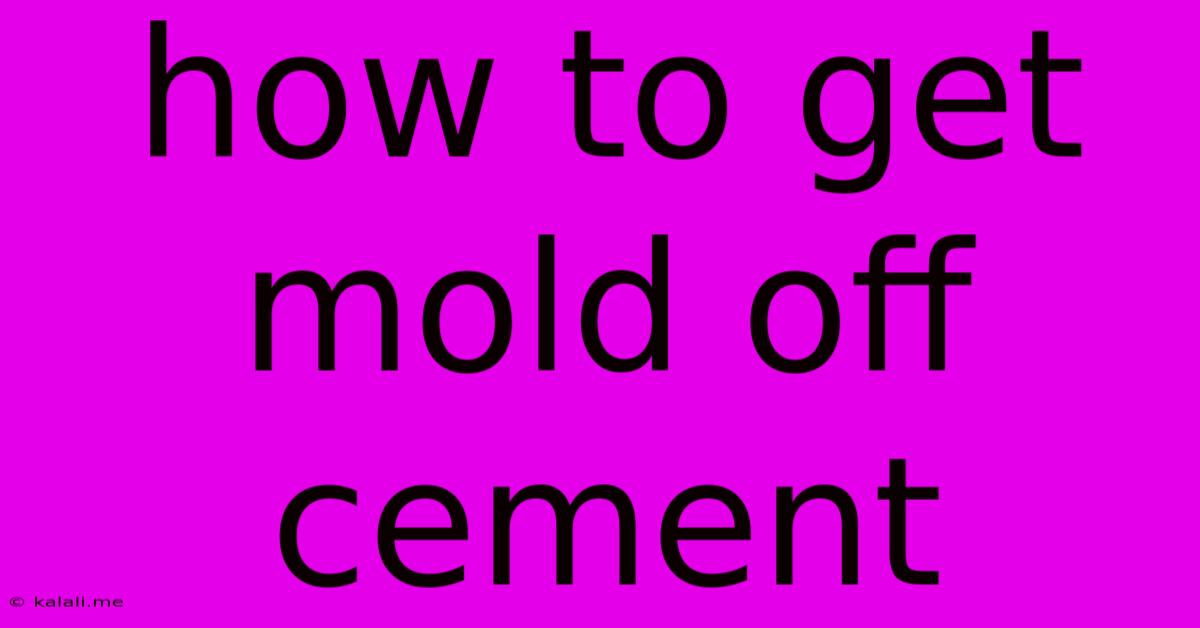 How To Get Mold Off Cement