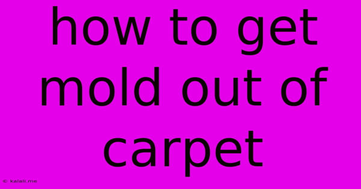 How To Get Mold Out Of Carpet