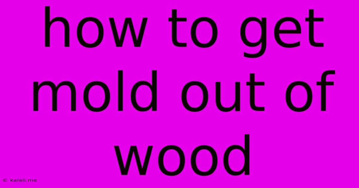 How To Get Mold Out Of Wood