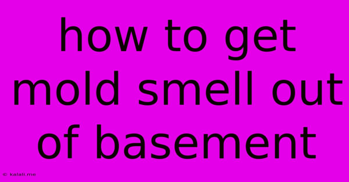How To Get Mold Smell Out Of Basement