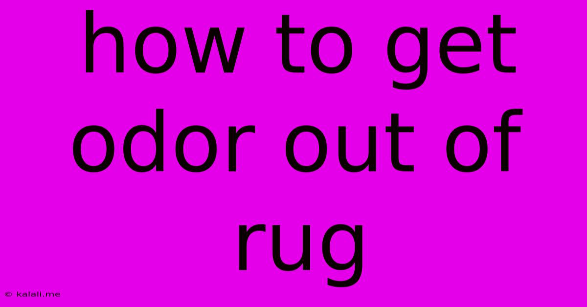 How To Get Odor Out Of Rug