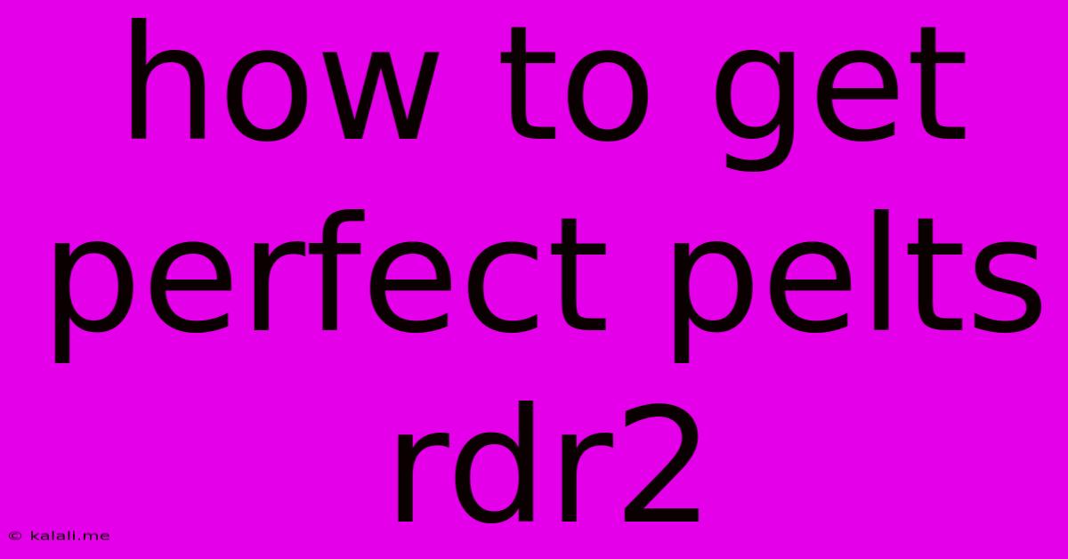How To Get Perfect Pelts Rdr2