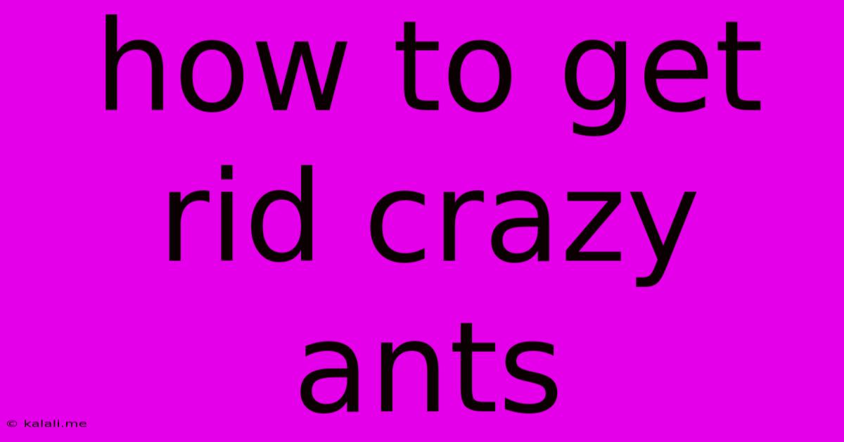 How To Get Rid Crazy Ants