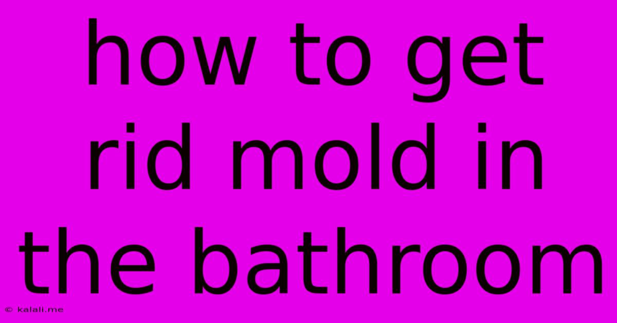 How To Get Rid Mold In The Bathroom