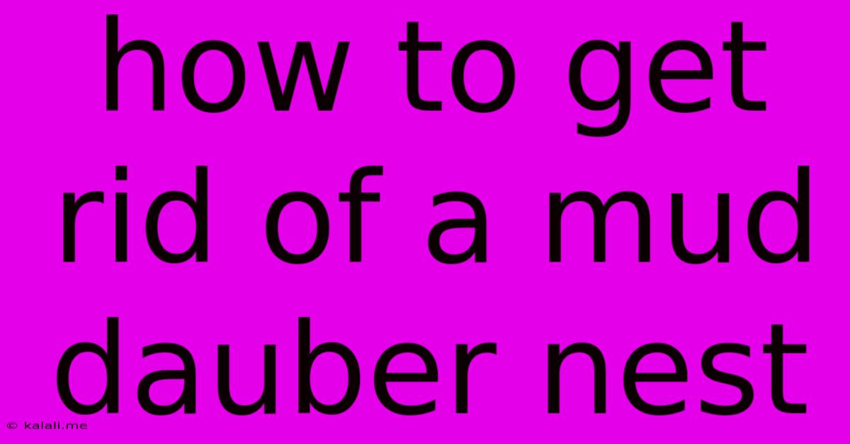 How To Get Rid Of A Mud Dauber Nest