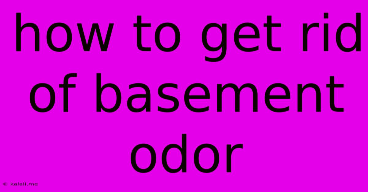 How To Get Rid Of Basement Odor