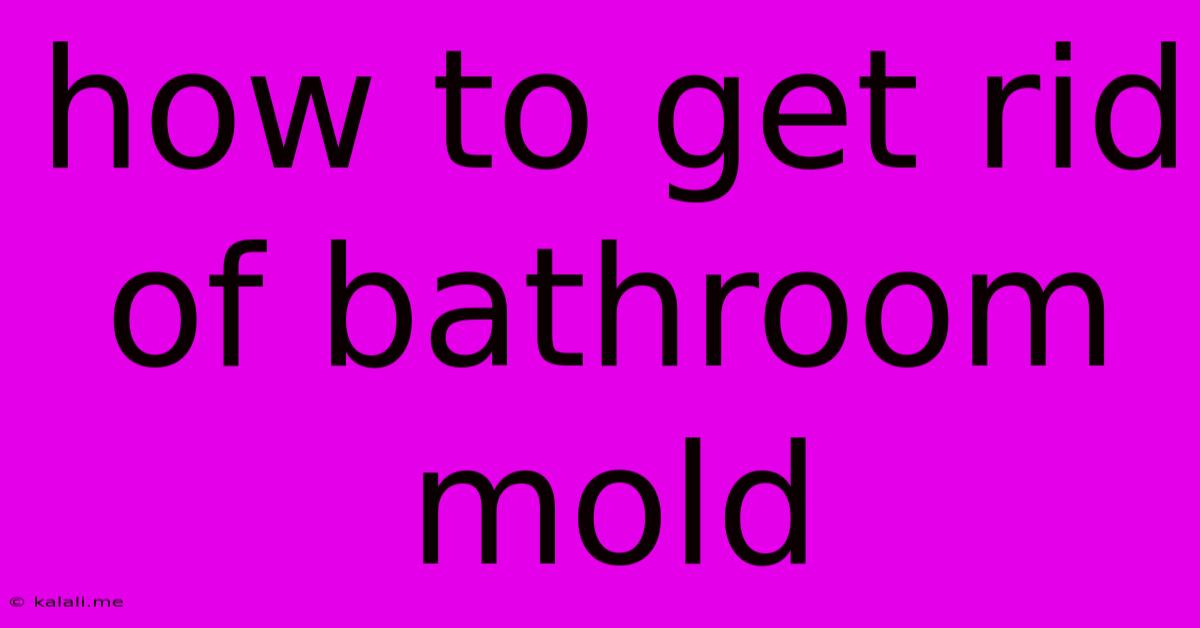 How To Get Rid Of Bathroom Mold