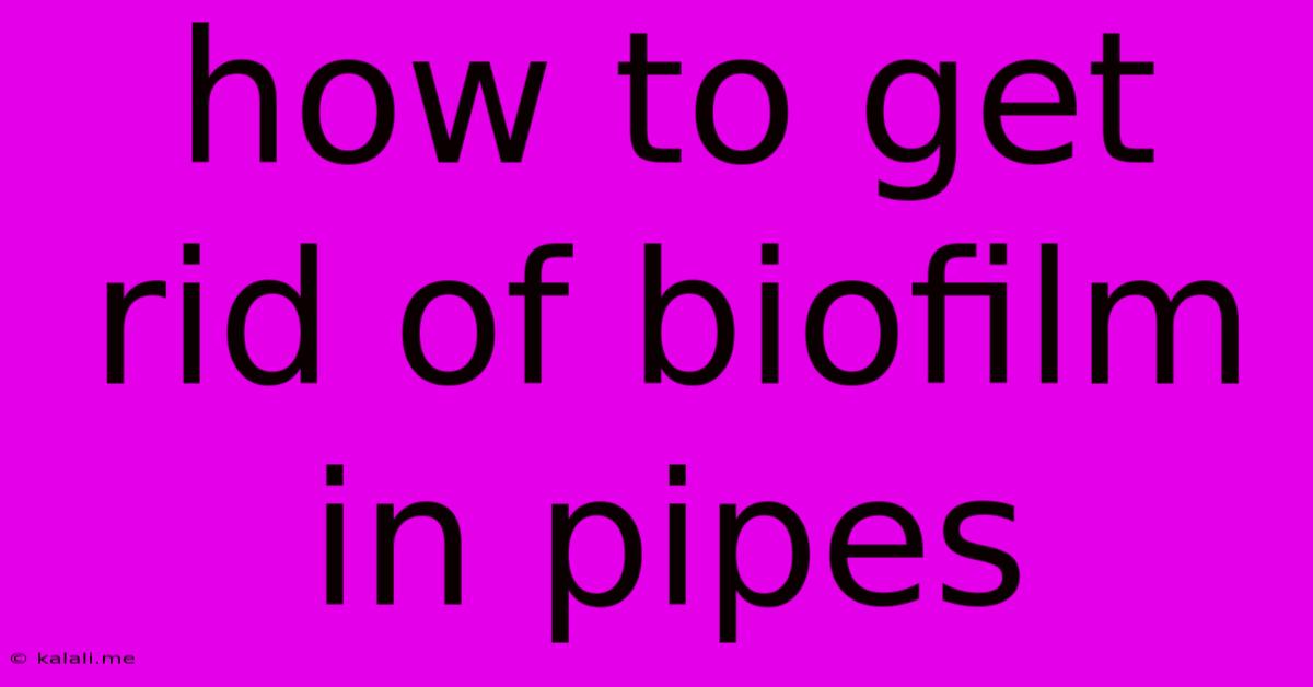How To Get Rid Of Biofilm In Pipes