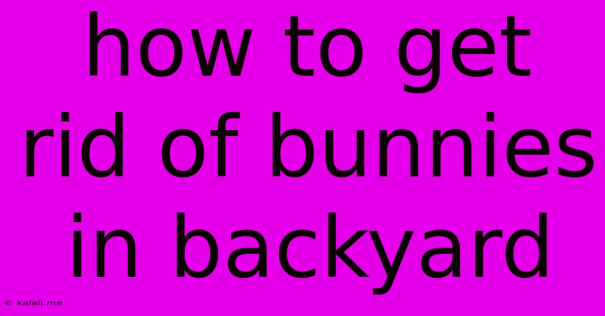 How To Get Rid Of Bunnies In Backyard