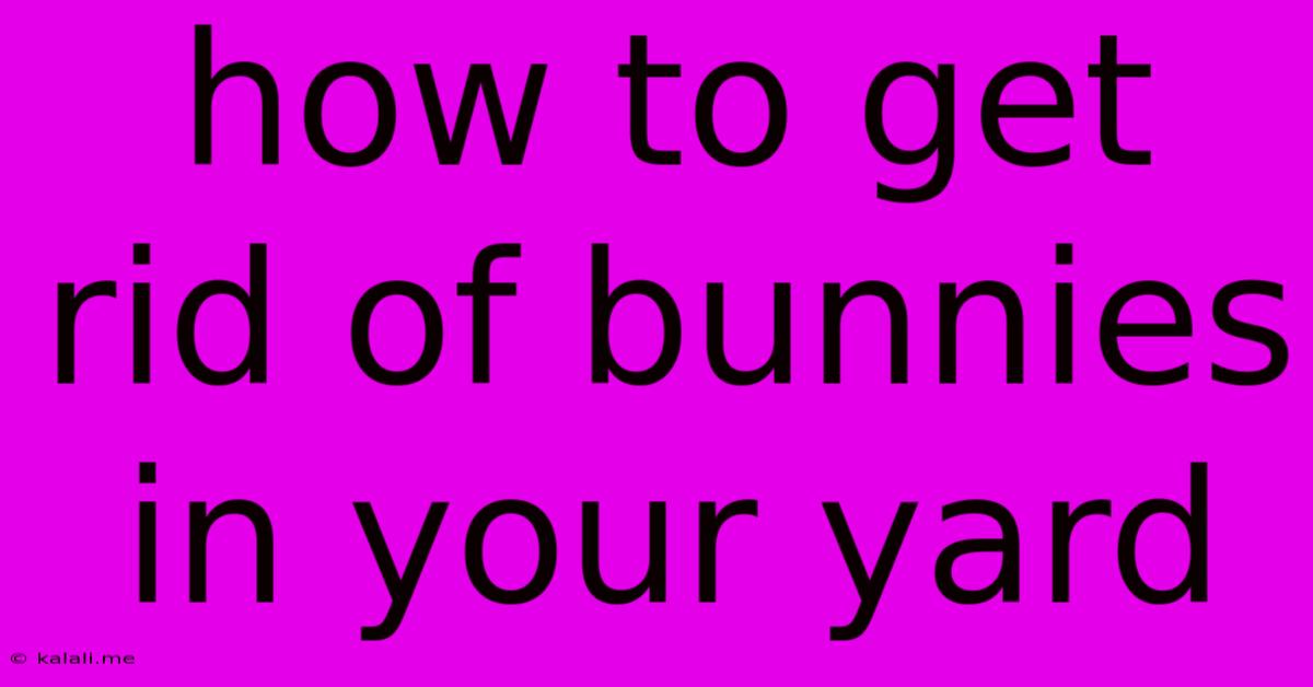 How To Get Rid Of Bunnies In Your Yard