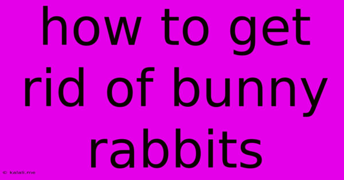 How To Get Rid Of Bunny Rabbits