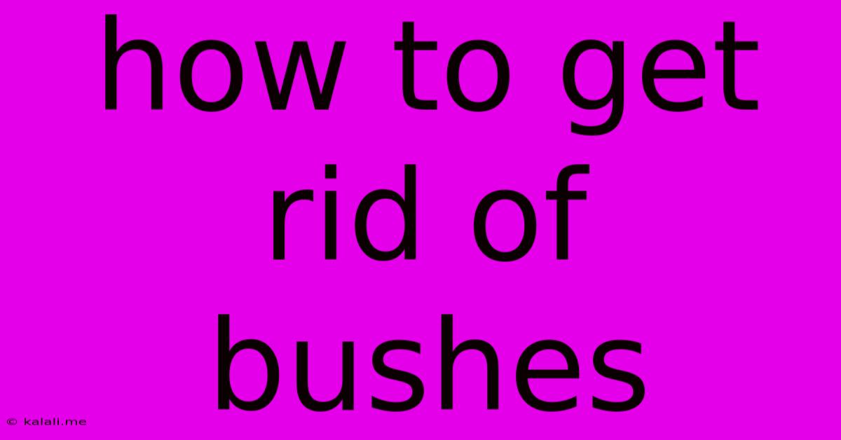 How To Get Rid Of Bushes